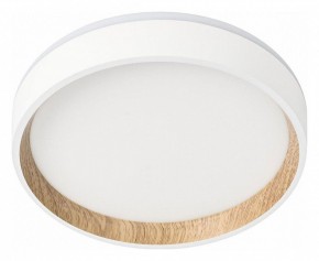 Накладной светильник Citilux Etalon CL750180 в Лесном - lesnoy.ok-mebel.com | фото