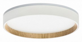 Накладной светильник Citilux Etalon CL750240 в Лесном - lesnoy.ok-mebel.com | фото