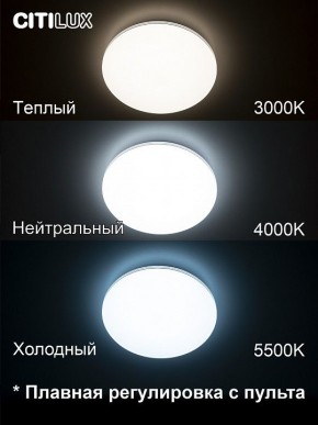 Накладной светильник Citilux Симпла CL714330G в Лесном - lesnoy.ok-mebel.com | фото 4