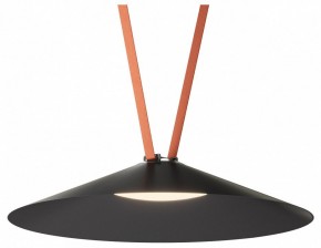 Накладной светильник Denkirs Belty Flow DK5569-BK в Лесном - lesnoy.ok-mebel.com | фото 2