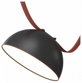 Накладной светильник Denkirs Belty Flow DK5660-BK в Лесном - lesnoy.ok-mebel.com | фото