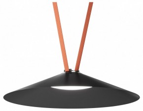 Накладной светильник Denkirs Belty Flow DK5668-BK в Лесном - lesnoy.ok-mebel.com | фото
