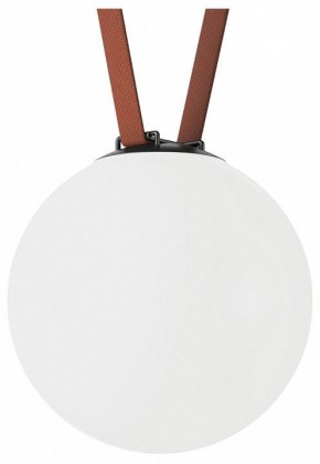 Накладной светильник Denkirs Belty Orb DK5554-BK в Лесном - lesnoy.ok-mebel.com | фото