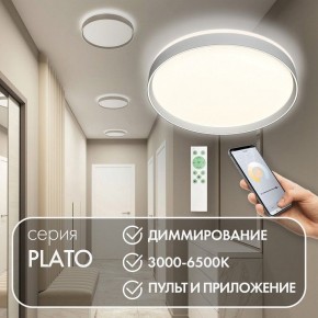 Накладной светильник Denkirs PLATO DK6511-WH/1 в Лесном - lesnoy.ok-mebel.com | фото 4