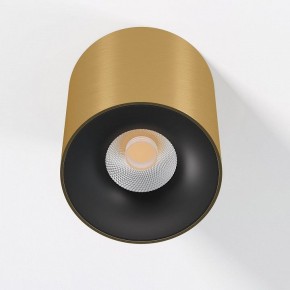 Накладной светильник Elektrostandard Primo 25116/LED в Лесном - lesnoy.ok-mebel.com | фото 2