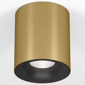 Накладной светильник Elektrostandard Primo 25116/LED в Лесном - lesnoy.ok-mebel.com | фото 2