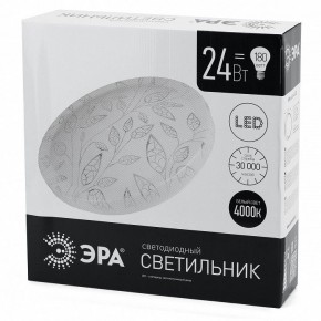 Накладной светильник Эра Классик SPB-6-24-4K (C) в Лесном - lesnoy.ok-mebel.com | фото 4
