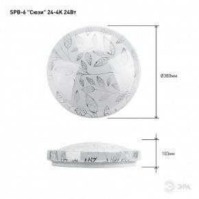 Накладной светильник Эра Классик SPB-6-24-4K (C) в Лесном - lesnoy.ok-mebel.com | фото 6