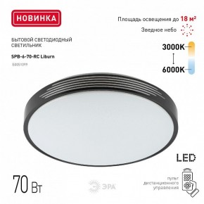 Накладной светильник Эра Классик SPB-6-70-RC Liburn в Лесном - lesnoy.ok-mebel.com | фото 10