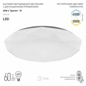 Накладной светильник Эра Классик SPB-6-70-RC Sparkle в Лесном - lesnoy.ok-mebel.com | фото 2