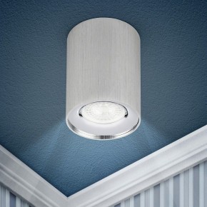 Накладной светильник Эра  OL1 GU10 SL/CH в Лесном - lesnoy.ok-mebel.com | фото 3