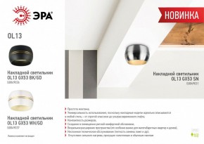 Накладной светильник Эра OL13 GX53 SN Б0049031 в Лесном - lesnoy.ok-mebel.com | фото 5