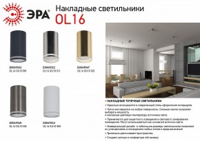 Накладной светильник Эра OL16 GU10 CH Б0049022 в Лесном - lesnoy.ok-mebel.com | фото 5