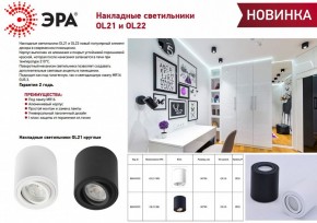 Накладной светильник Эра OL21 BK Б0054393 в Лесном - lesnoy.ok-mebel.com | фото 2