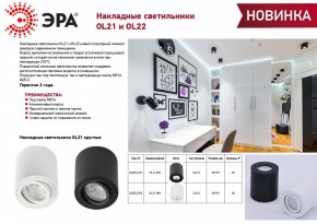 Накладной светильник Эра OL22 BK Б0054395 в Лесном - lesnoy.ok-mebel.com | фото 3