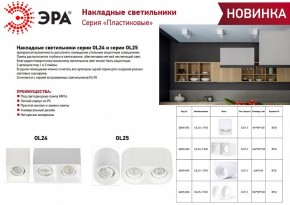 Накладной светильник Эра OL24-2 WH Б0054382 в Лесном - lesnoy.ok-mebel.com | фото 2