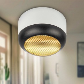 Накладной светильник Эра  OL56 WH/BK в Лесном - lesnoy.ok-mebel.com | фото 8