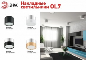 Накладной светильник Эра OL7 GX53 GD/CH Б0048532 в Лесном - lesnoy.ok-mebel.com | фото 2