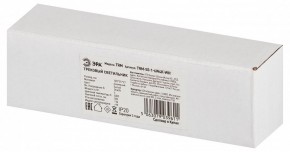 Накладной светильник Эра  TRM-S5-1-6W4K-WH в Лесном - lesnoy.ok-mebel.com | фото 6
