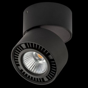 Накладной светильник Lightstar Forte Muro 214817 в Лесном - lesnoy.ok-mebel.com | фото 2