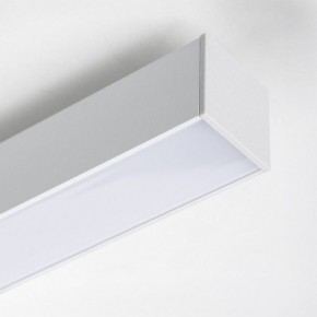 Накладной светильник Lightstar Lilla 202146 в Лесном - lesnoy.ok-mebel.com | фото 4