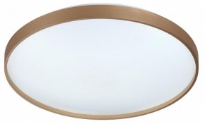Накладной светильник Sonex Gaby 7783/EL в Лесном - lesnoy.ok-mebel.com | фото 4
