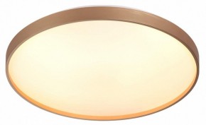 Накладной светильник Sonex Gaby 7783/EL в Лесном - lesnoy.ok-mebel.com | фото 5