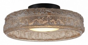 Накладной светильник ST-Luce ANTIKE SL6143.422.01 в Лесном - lesnoy.ok-mebel.com | фото 3