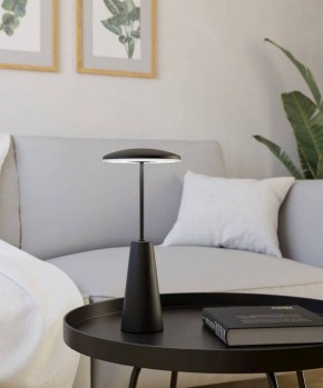 Настольная лампа декоративная Eglo PICCOLA 900925 в Лесном - lesnoy.ok-mebel.com | фото 4
