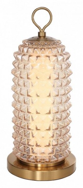 Настольная лампа декоративная ST-Luce SAGUARO SL6144.304.01 в Лесном - lesnoy.ok-mebel.com | фото 2