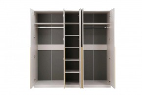 НИКОЛЬ 25 Шкаф 5-ти створчатый в Лесном - lesnoy.ok-mebel.com | фото 3