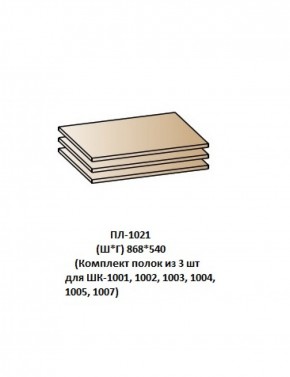 ПЛ-1021 (Комплект полок из 3 шт для ШК-1001, 1002, 1003, 1004, 1005, 1007) в Лесном - lesnoy.ok-mebel.com | фото