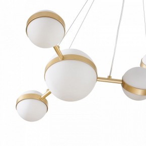 Подвесная люстра Favourite Asterismo 4448-6P в Лесном - lesnoy.ok-mebel.com | фото 4