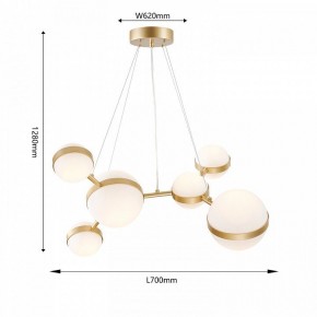 Подвесная люстра Favourite Asterismo 4448-6P в Лесном - lesnoy.ok-mebel.com | фото 5