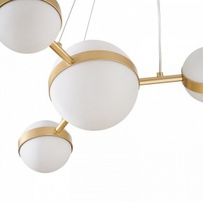 Подвесная люстра Favourite Asterismo 4448-6P в Лесном - lesnoy.ok-mebel.com | фото 7