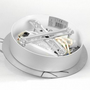 Подвесная люстра Lussole Knox LSP-7416 в Лесном - lesnoy.ok-mebel.com | фото 5