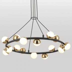 Подвесная люстра Lussole  LSP-6046 в Лесном - lesnoy.ok-mebel.com | фото