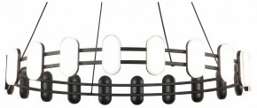 Подвесная люстра Lussole  LSP-7496 в Лесном - lesnoy.ok-mebel.com | фото