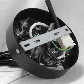 Подвесная люстра Lussole Seneca GRLSP-8177 в Лесном - lesnoy.ok-mebel.com | фото 10