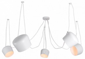 Подвесная люстра Lussole Shirley LSP-8175 в Лесном - lesnoy.ok-mebel.com | фото
