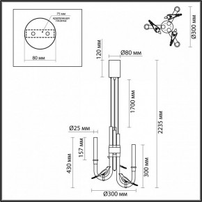 Подвесная люстра Odeon Light Lark 5431/6L в Лесном - lesnoy.ok-mebel.com | фото 5