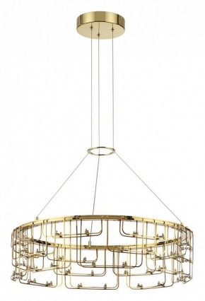 Подвесная люстра Odeon Light ZAHA 7060/44L в Лесном - lesnoy.ok-mebel.com | фото 2