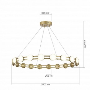Подвесная люстра ST-Luce MONRO SL6610.203.20 в Лесном - lesnoy.ok-mebel.com | фото 5