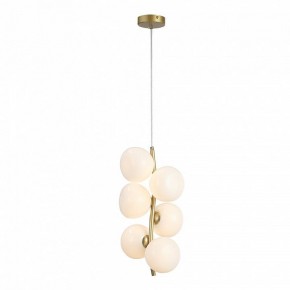Подвесная люстра ST-Luce Sweven SL1519.303.06 в Лесном - lesnoy.ok-mebel.com | фото 4