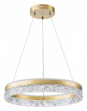 Подвесной светильник Arte Lamp Apollo A2549SP-75GO в Лесном - lesnoy.ok-mebel.com | фото 2