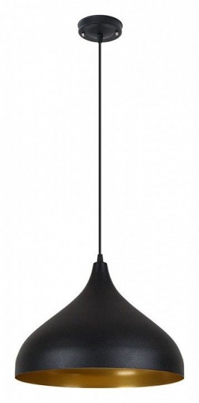 Подвесной светильник Arte Lamp Carmel A7076SP-1BK в Лесном - lesnoy.ok-mebel.com | фото 2