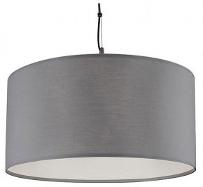 Подвесной светильник Arte Lamp Coppa A4095SP-3GY в Лесном - lesnoy.ok-mebel.com | фото