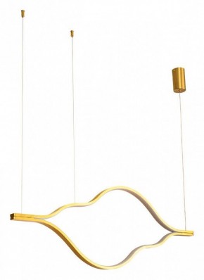 Подвесной светильник Arte Lamp Odyssey A2911SP-31GO в Лесном - lesnoy.ok-mebel.com | фото 2