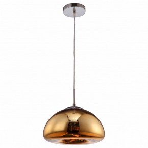 Подвесной светильник Arte Lamp Swift A8041SP-1GO в Лесном - lesnoy.ok-mebel.com | фото 2