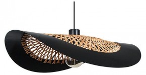 Подвесной светильник Arte Lamp Woodstock A7059SP-1BK в Лесном - lesnoy.ok-mebel.com | фото